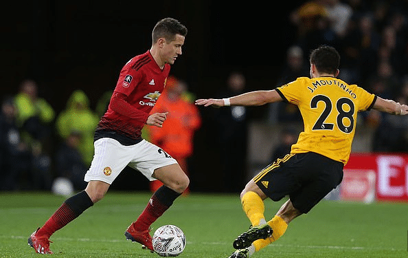 了香港羽毛 了香港羽毛