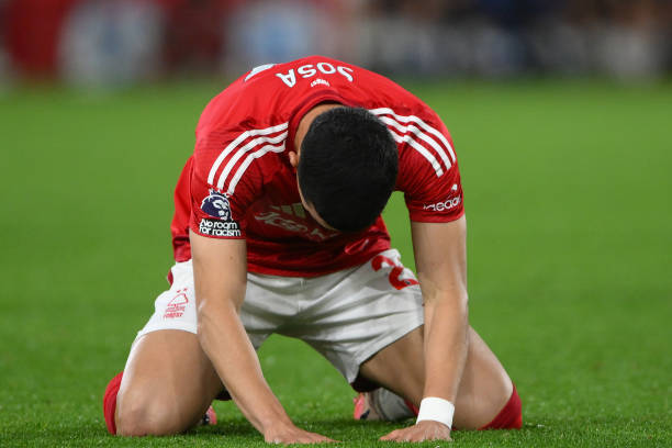 的精神领袖 的精神领袖